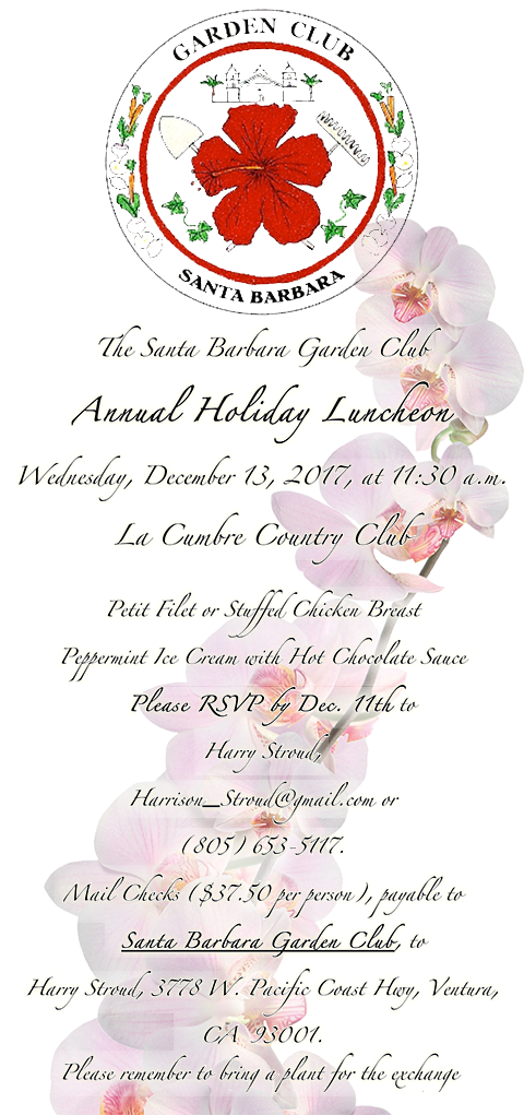 Holiday Luncheon Invitation