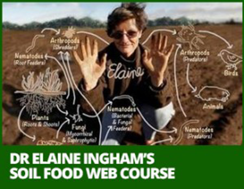 Mapping Analysis and Printing System